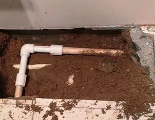 珠海测漏水哪家好