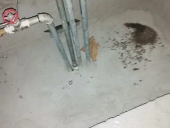 珠海卫生间测漏水价格明细